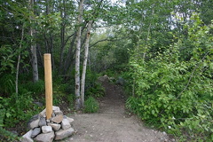 Mountain Bike Trail