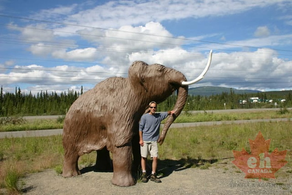 Mammoth