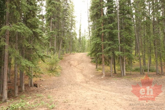 Hiking Trail