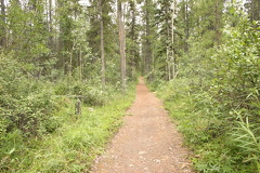 XC Ski Trail