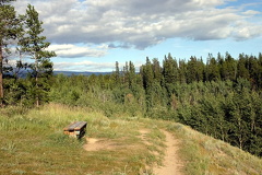 Porter Creek