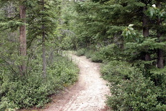 Hiking Trail