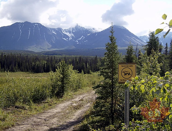 Hiking Trail