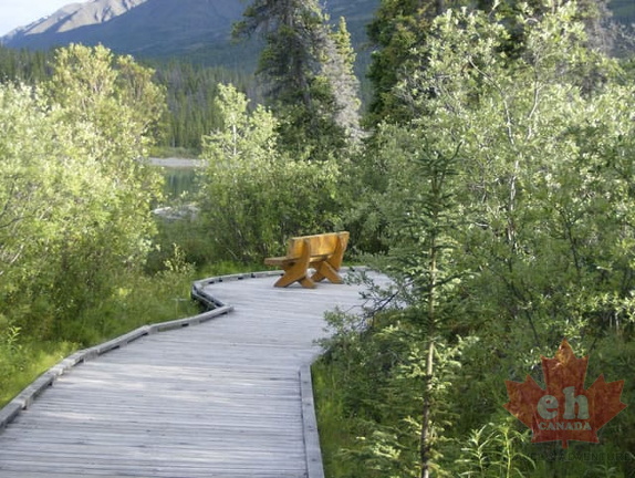 Viewing Bench