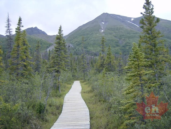 Boardwalk Trail