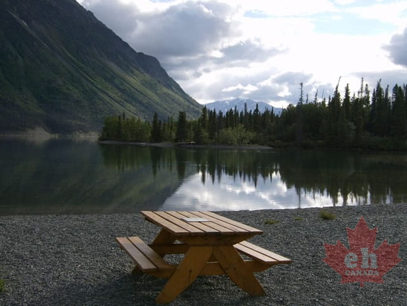 Picnic Table
