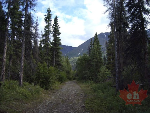 Gravel Road Trail