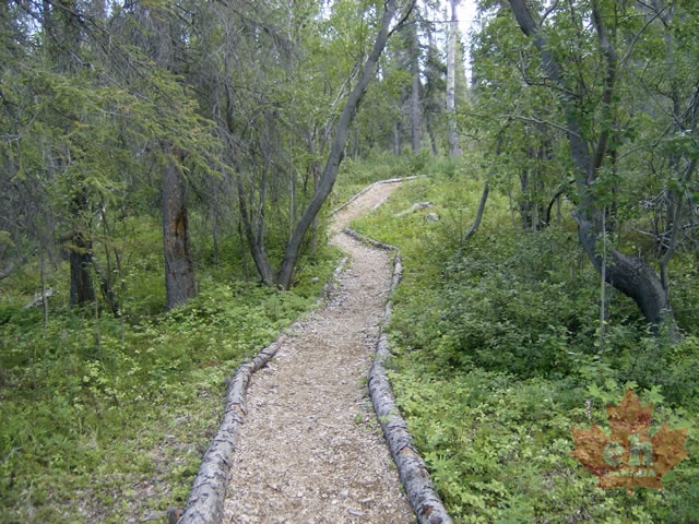 Gravel Trail