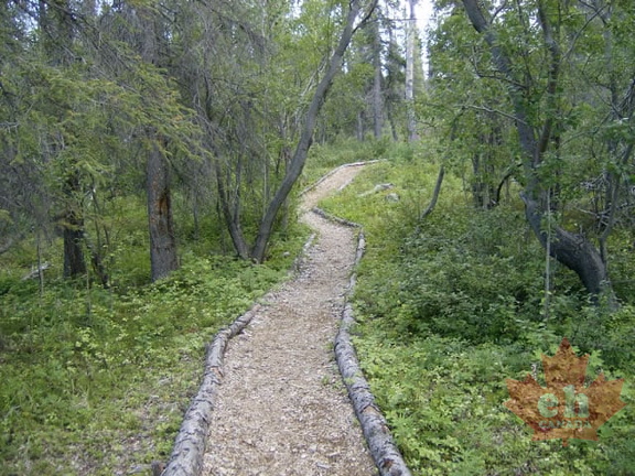 Gravel Trail