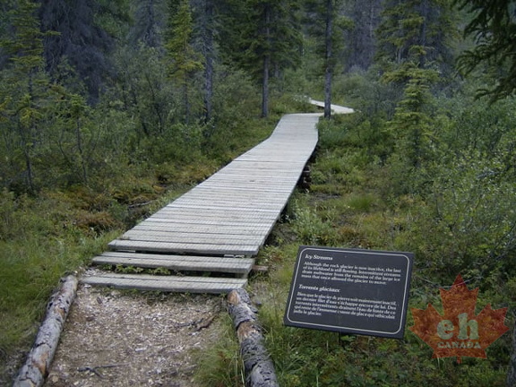 Hiking Trail