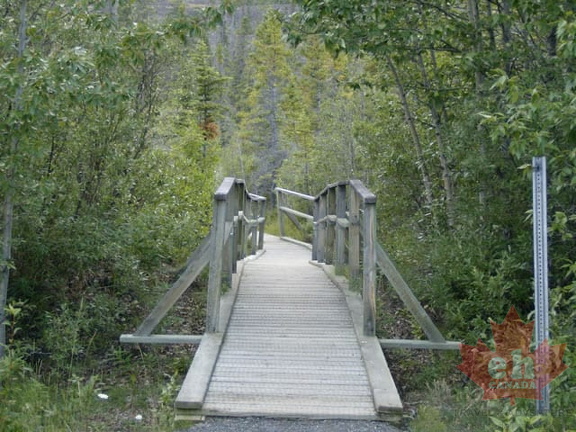 Foot Bridge