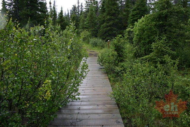 Boardwalk Trail