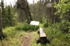 Resting Bench