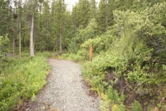 Hiking Trail