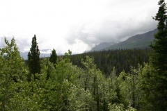 Views from Lookout