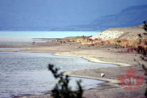 Shoreline Drive