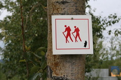 Bear Trail