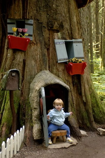 Child in Stump House - Revelstoke attraction