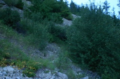 trail 003.jpg