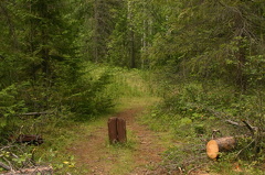 trail 001