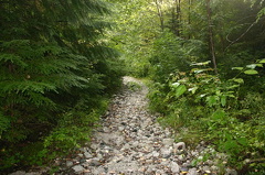 trail 001
