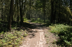 trail mason rd 001