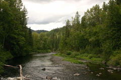 river 003