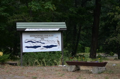 mainstreet 002.jpg