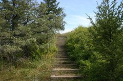 lookout 001