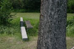 footbridge