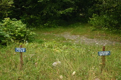 trail markers 002