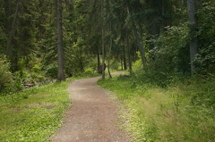 trail 001