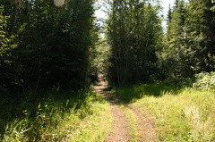 trail 001