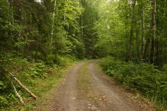 gravel road