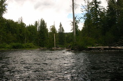 river 002.jpg