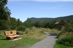 sitting bench