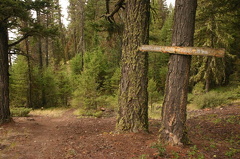 trail signs 002