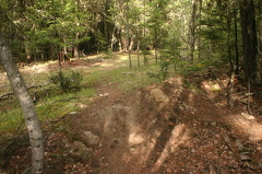 lower mtn trails 006