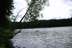 howard lake 001