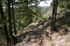 trail 004