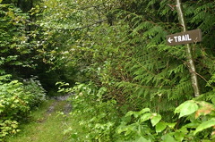 trail markers 003