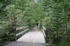 trail20090707 59