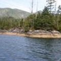 grise bay 004