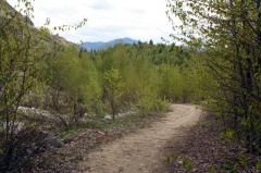Miral Heights Trail