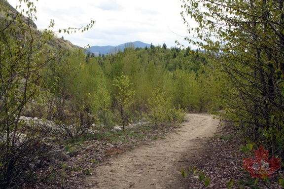 Miral Heights Trail