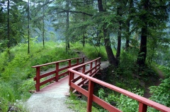 Gyro Park pathway 