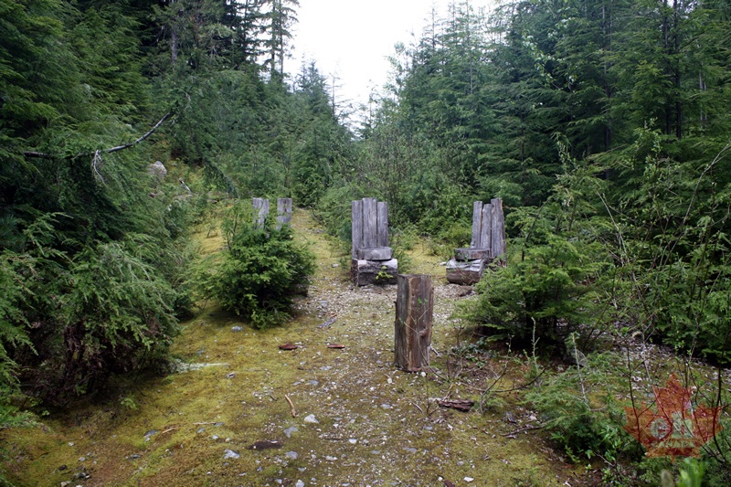Throne Chairs
