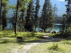 Walking Trail