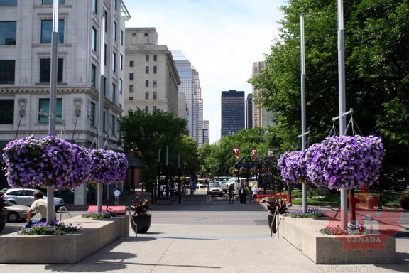 Purple Streets