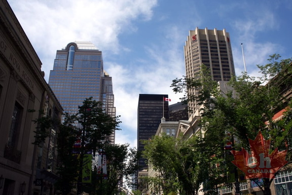 Calgary Skyline